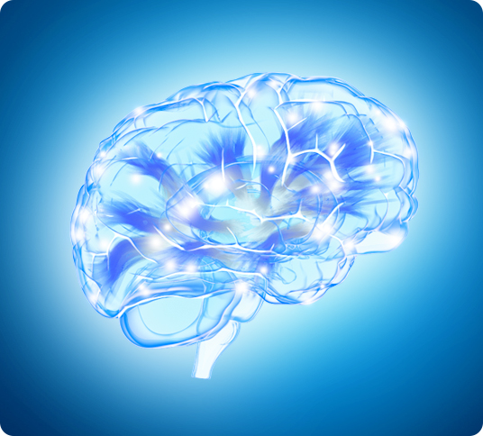 MemoWork Methode steigert Intelligenz MemoWork Methode steigert Intelligenz
