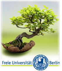 Gedächtnistraining Studie beweist Wirksamkeit von NeuroNation